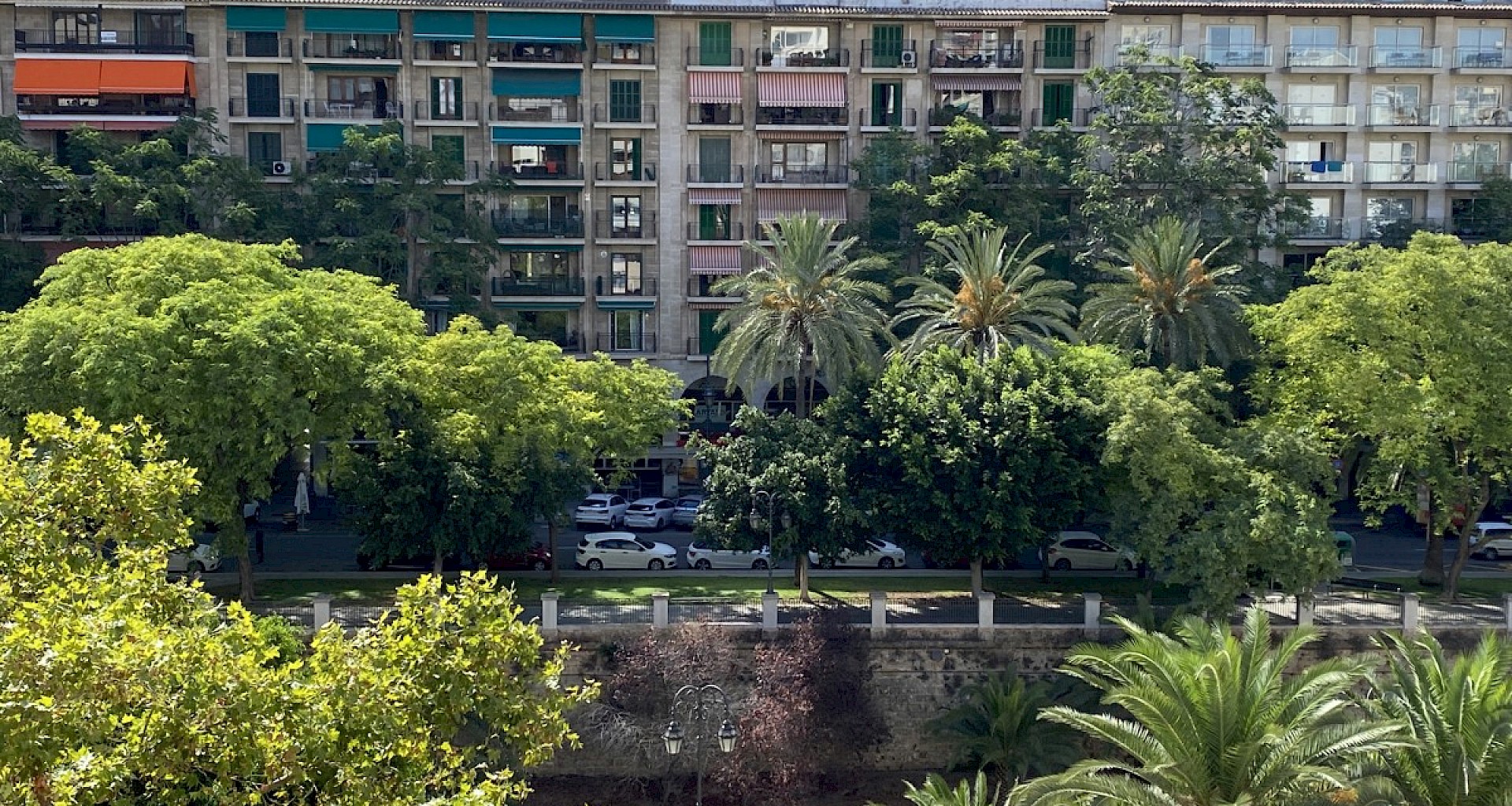 KROHN & LUEDEMANN Grosse Wohnung im Zentrum von Palma mit Teilmeerblick 